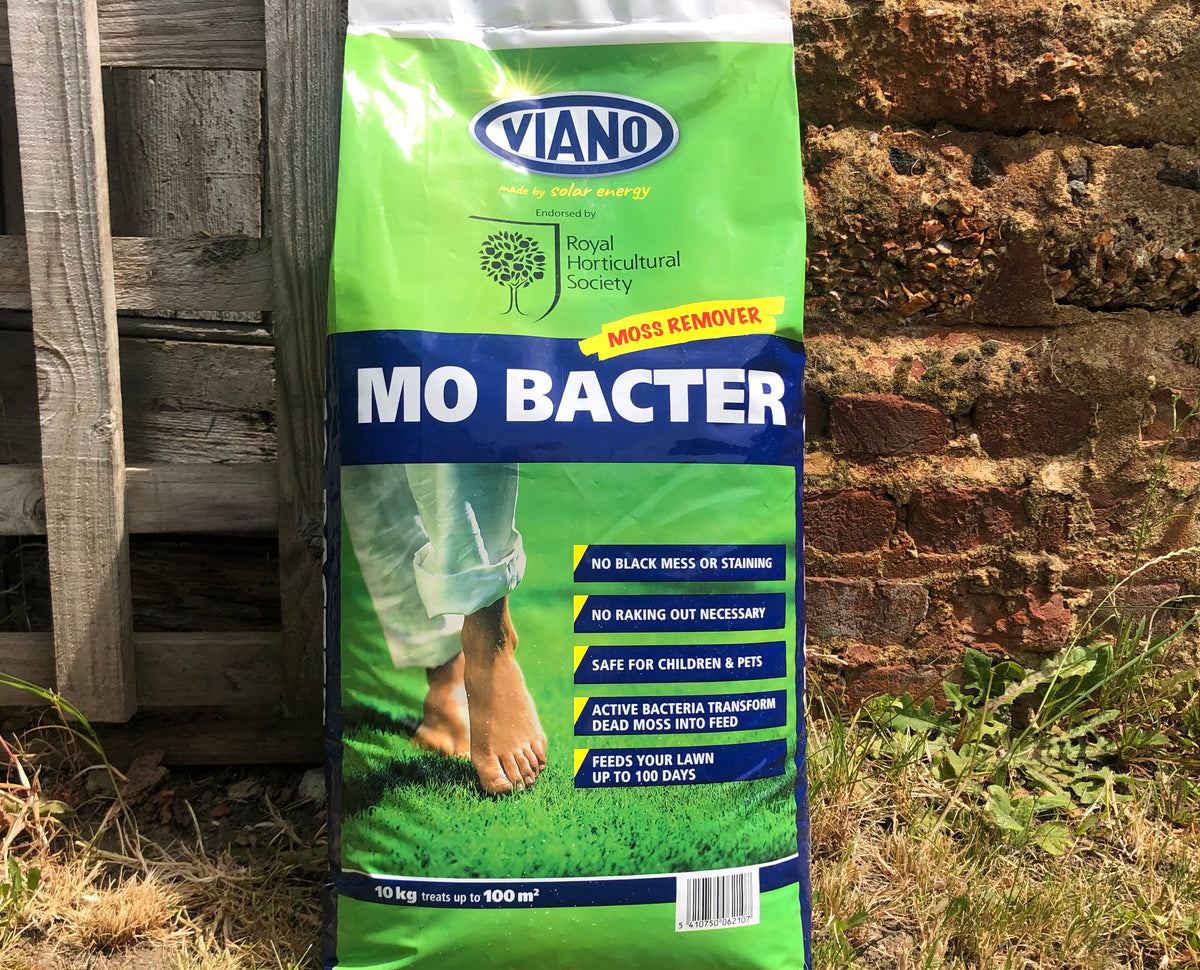 How does MO Bacter work?