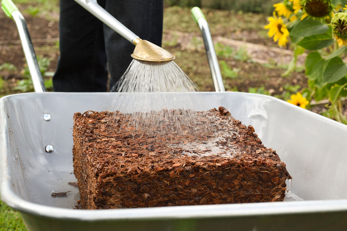 Industry Insiders: Coco & Coir