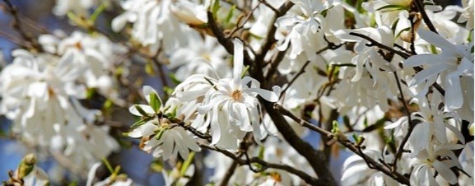 April Jobs