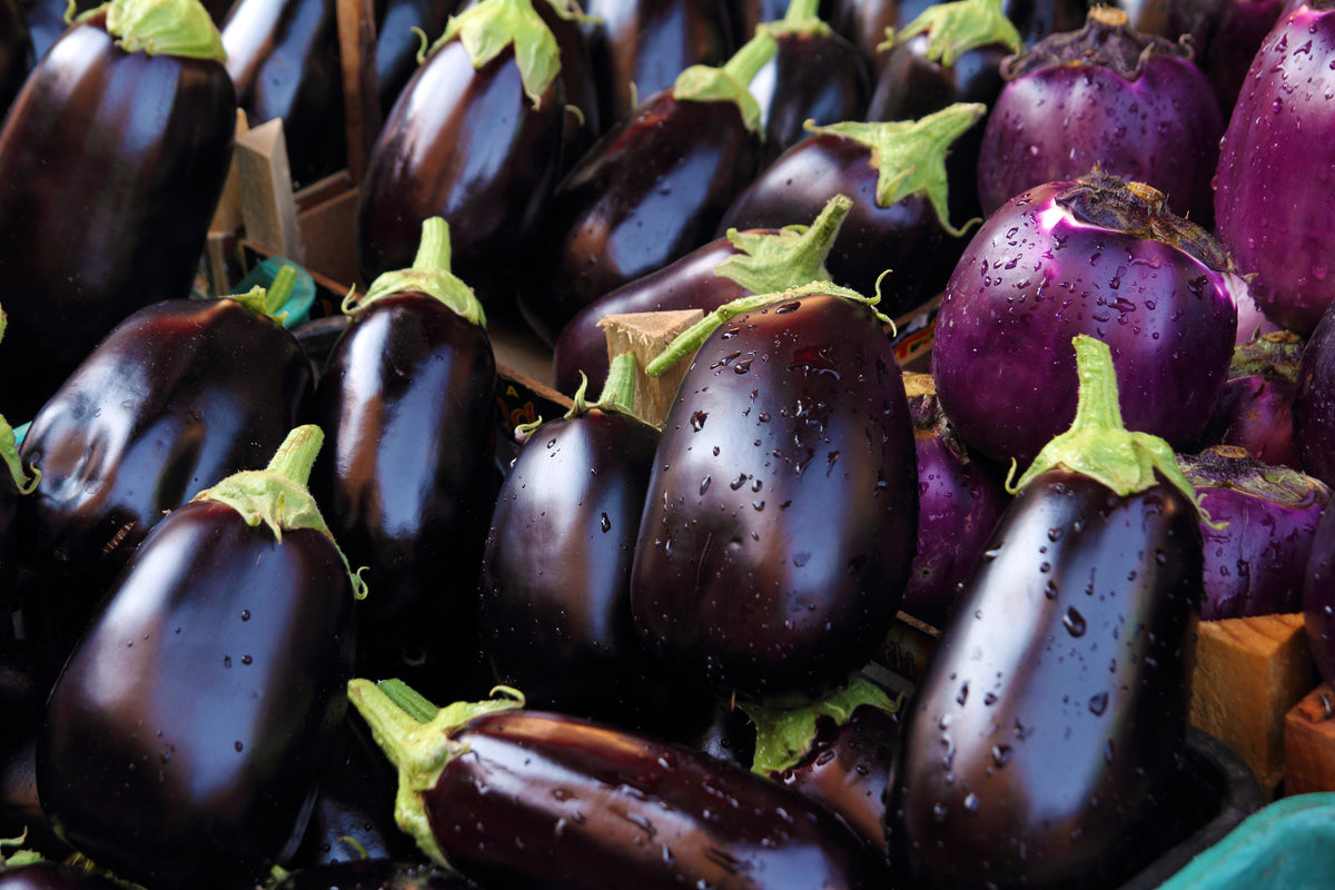 Sequoia: a new fast-acting insecticide