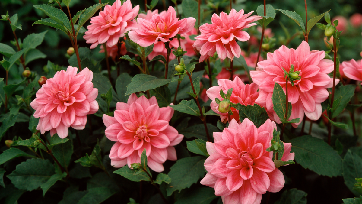 Quick and easy gardening hacks to enhance your garden
