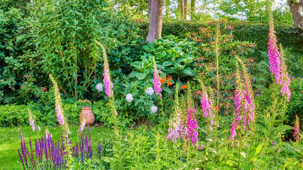 Designing Your Garden for Spring | Fargro Home & Garden