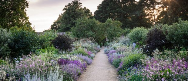 INDUSTRY INSIDERS: Parham Gardens