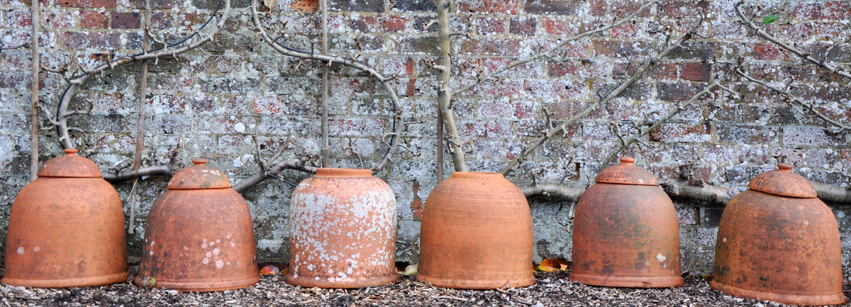 INDUSTRY INSIDERS: West Dean Gardens