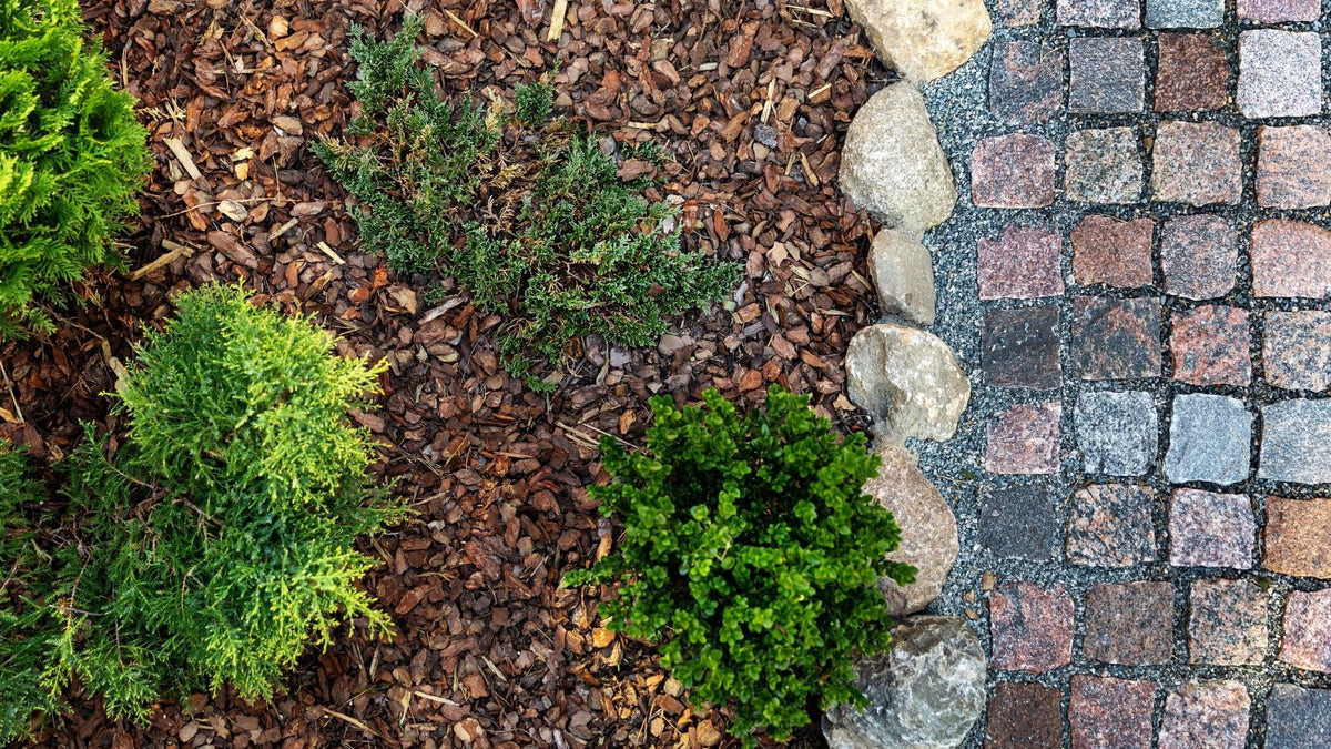 Our Guide to Mulch