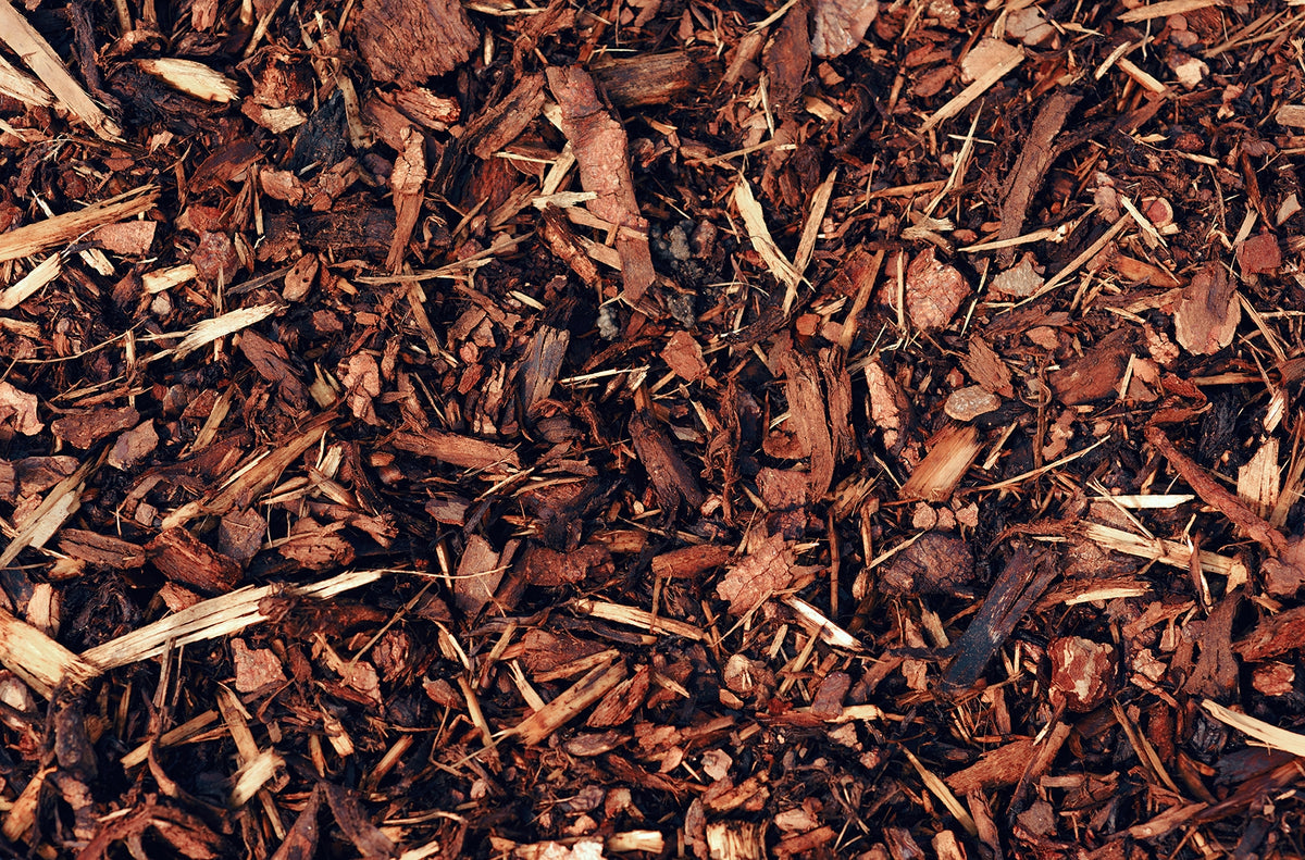 Are mulch and compost the same thing?
