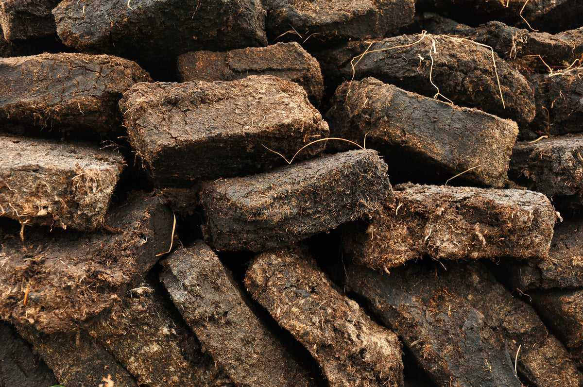 Peat vs Peat Free - Choosing the right Potting Compost