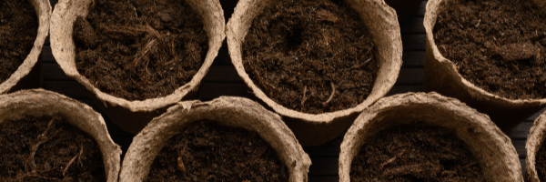 Growing successfully with peat-free compost