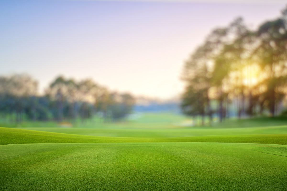 Transform your sports turf with BACTIVA Soil Amendment
