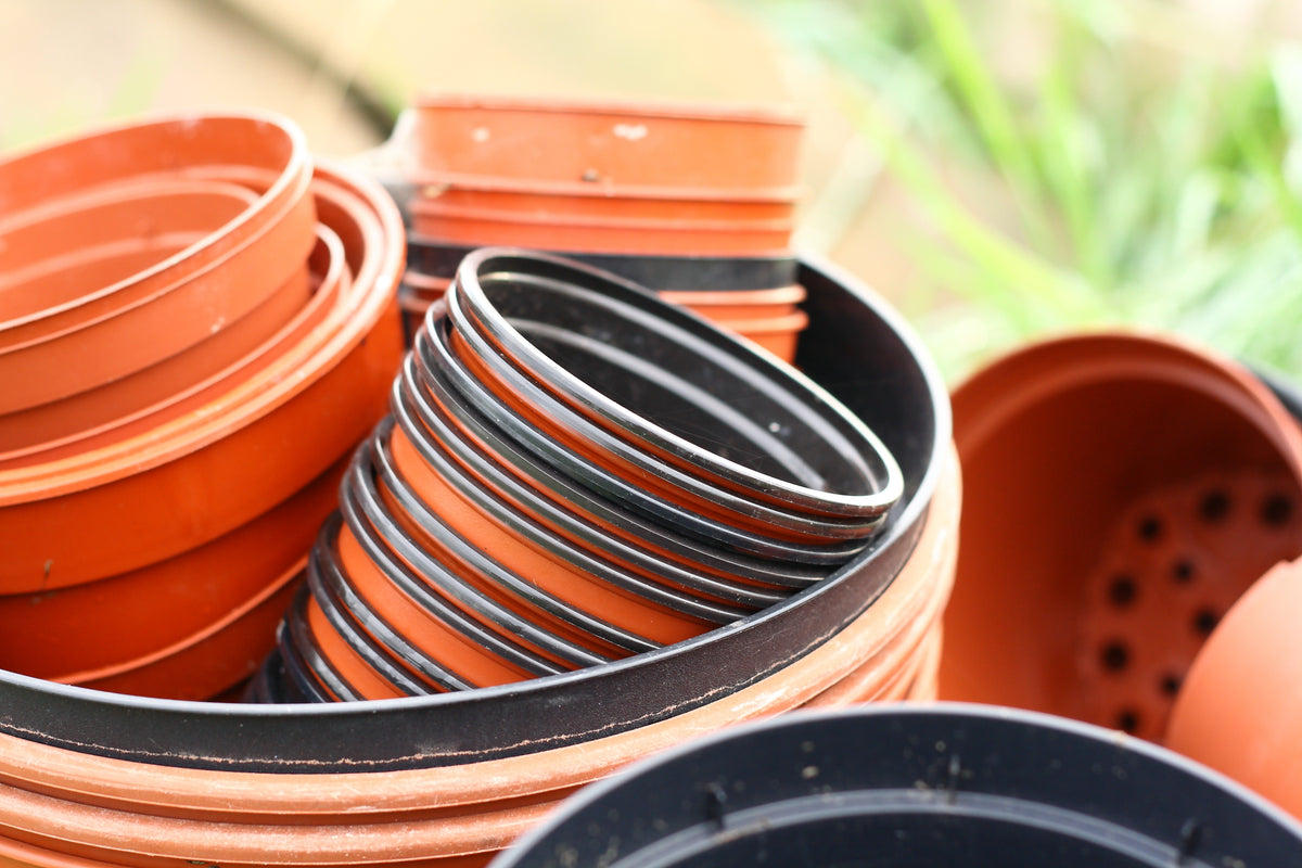 Plastic plant pots dimensions and uses