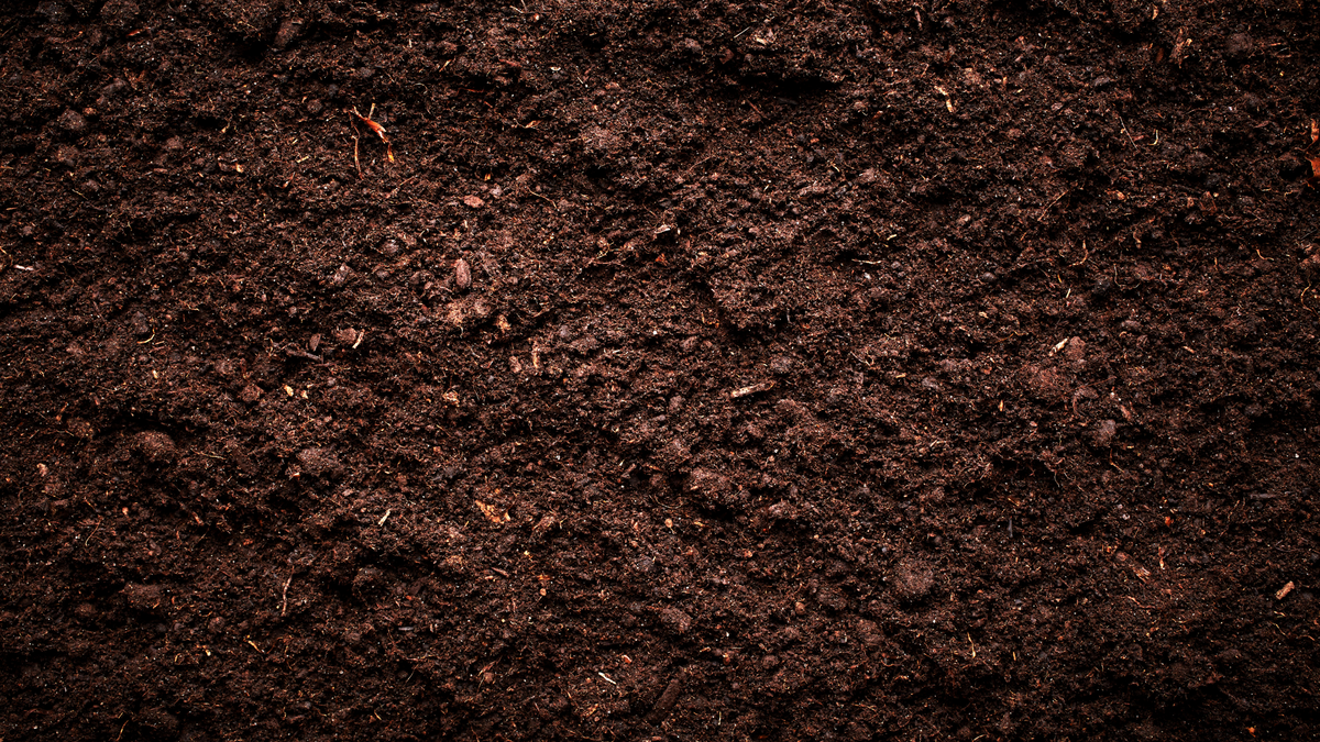 Nature’s hidden heroes – exploring the remarkable benefits of soil microbes