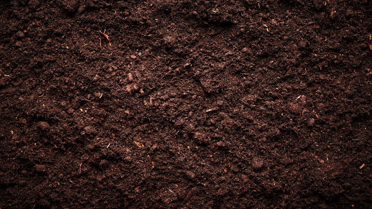 Why is soil important?