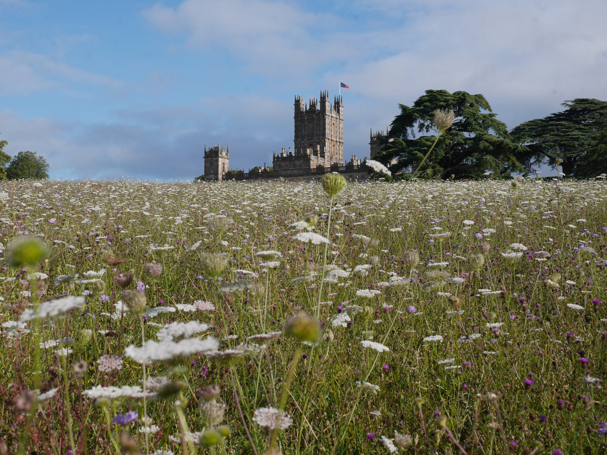 INDUSTRY INSIDERS: Highclere Castle
