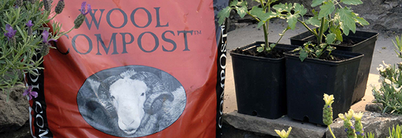 Discover Dalefoot's eco-friendly sheep's wool compost