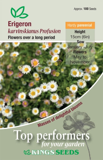 Erigeron Karvinskianus Profusion Seeds