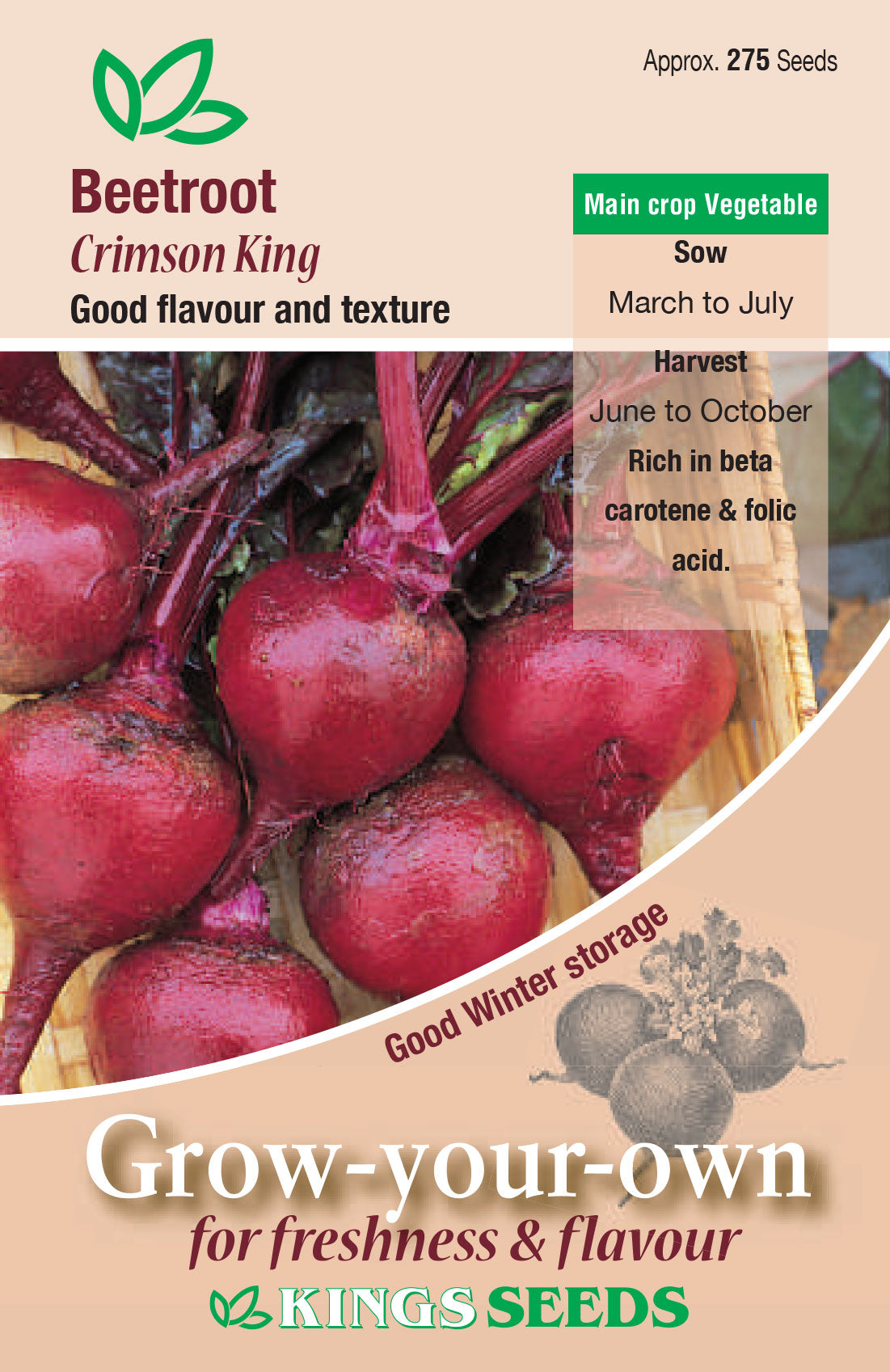 Beetroot Crimson King