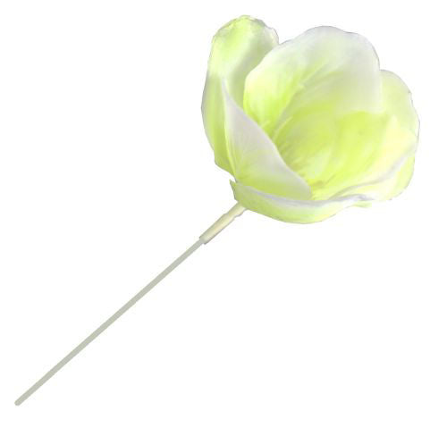 Pick Old Fashioned Rose