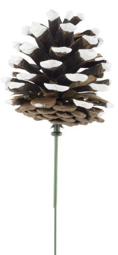 Pick Natural Pine Cone Paint Edge
