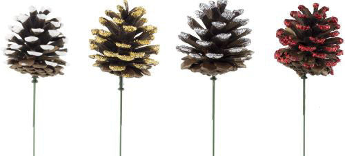 Pick Pine Cone