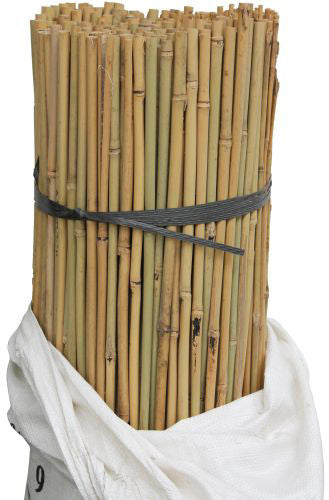 Bamboo Canes 183cm (6') 28-32lbs