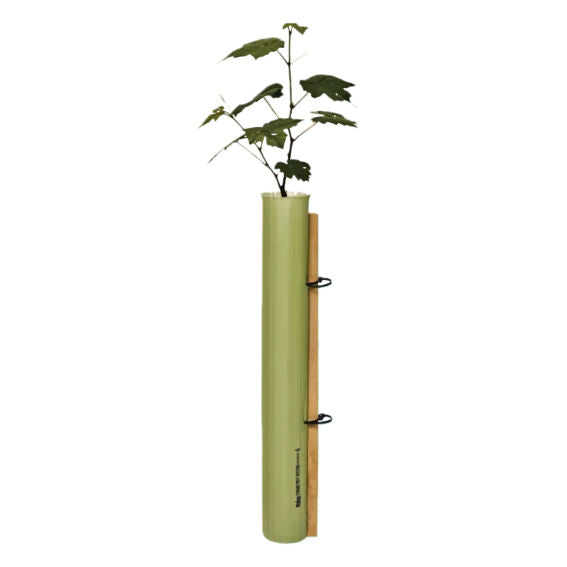 Tubex Tree Shelter Standard (73-105mm)