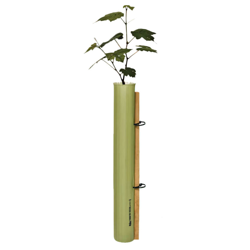 Tubex Tree Shelter Standard Plus