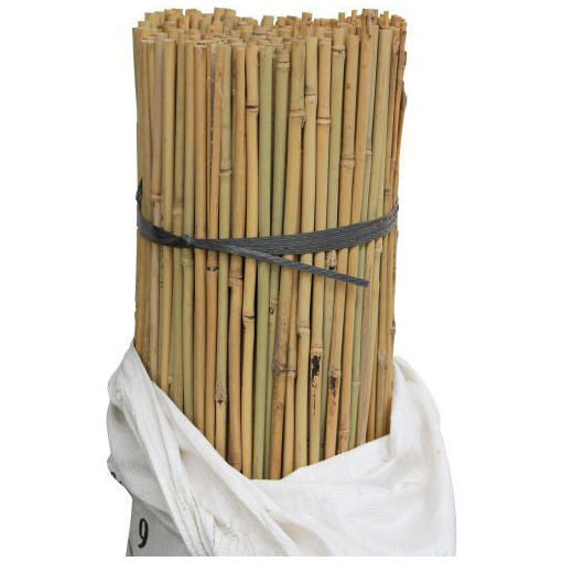 Bamboo Canes 91cm (3') 12-14lb