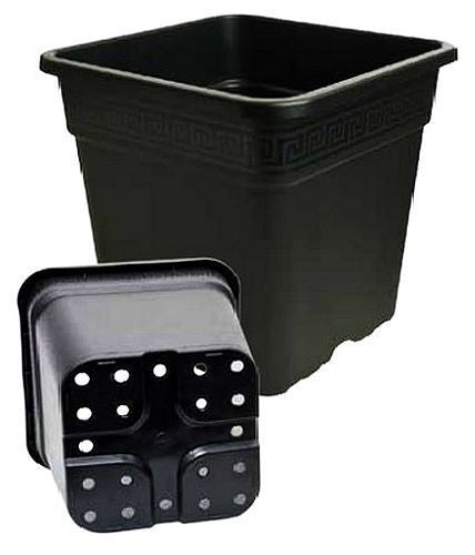Vega Pot Square