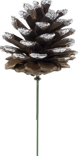 Pick Natural Pine Cone Glitter Edge - SIlver