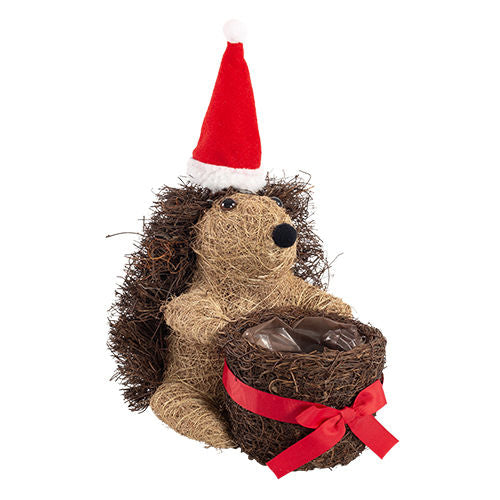 Christmas Planter Salim Hedgehog with Pot