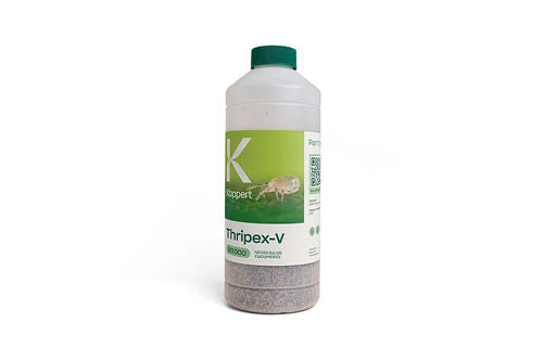 Thripex Vermiculite 50,000 1L | Neoseiulus cucumeris Thrips Control