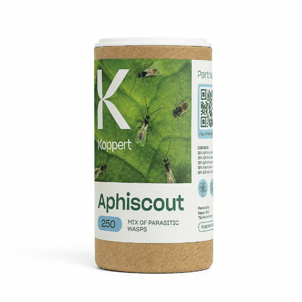 Aphiscout 250 | Five-Species Aphid Parasitoid Mix