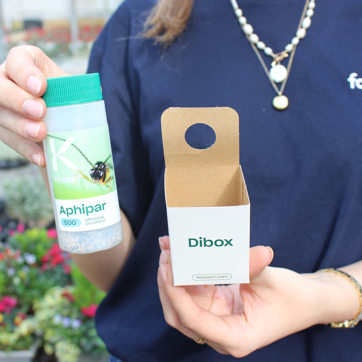 DI Boxes- 50 Bio Distribution Boxes