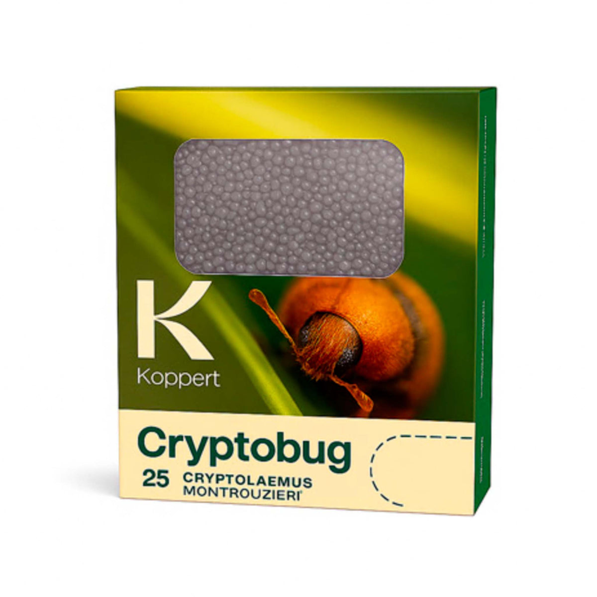 Cryptobug 25 Adults | Cryptolaemus montrouzieri Mealybug Control