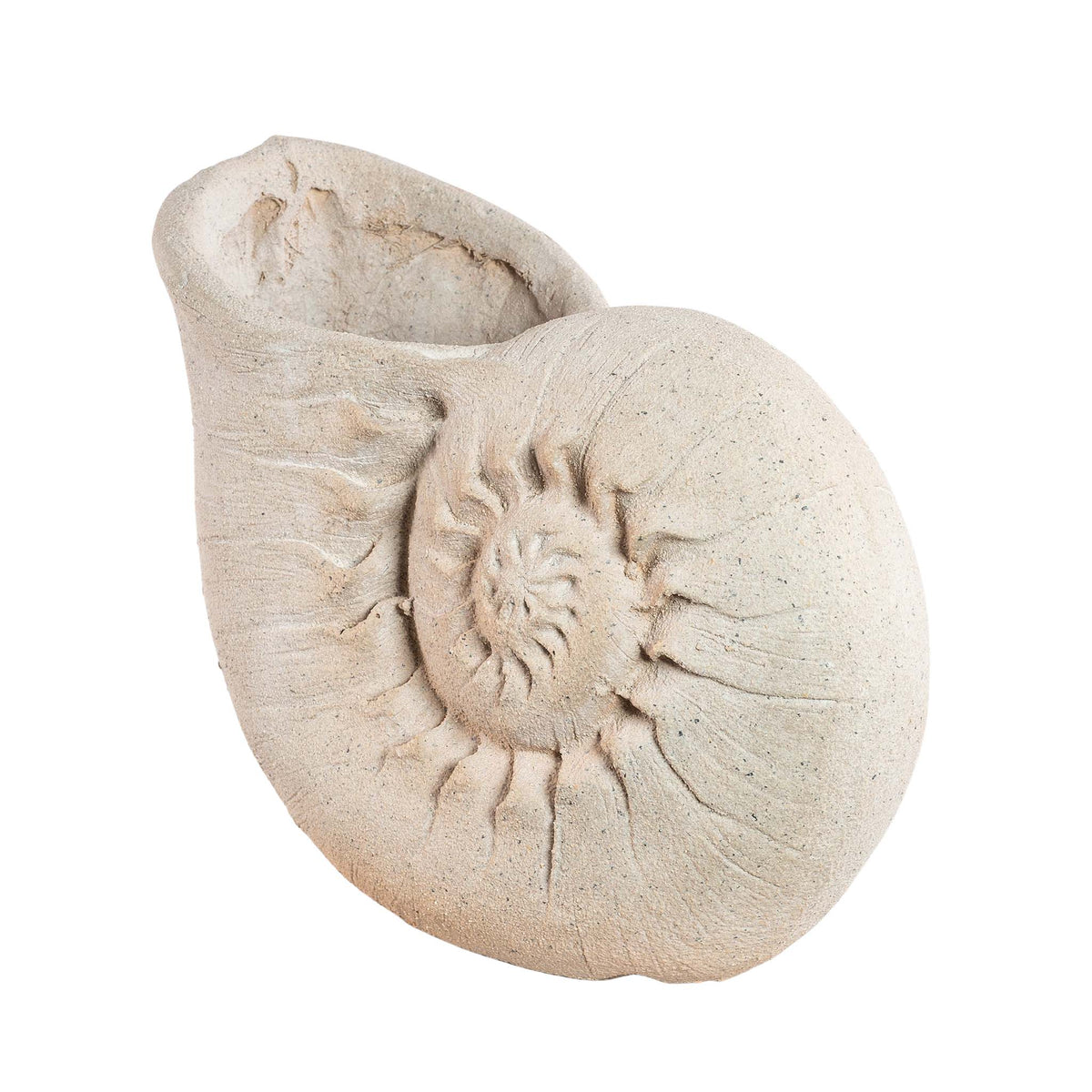 Decorative Planter/Ornament Conch Shell