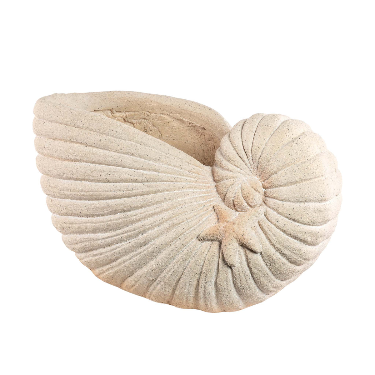 Decorative Planter/Ornament Hollow Shell