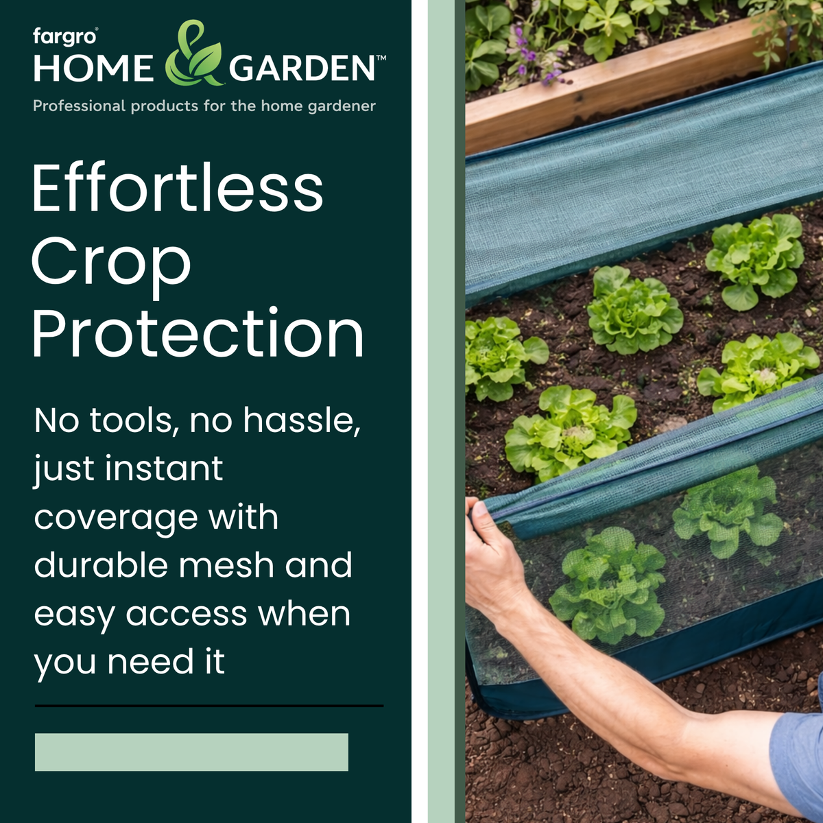 Pop-Up Net Cage, Low Plant Protection Cover, 100 x 100 x 75 cm