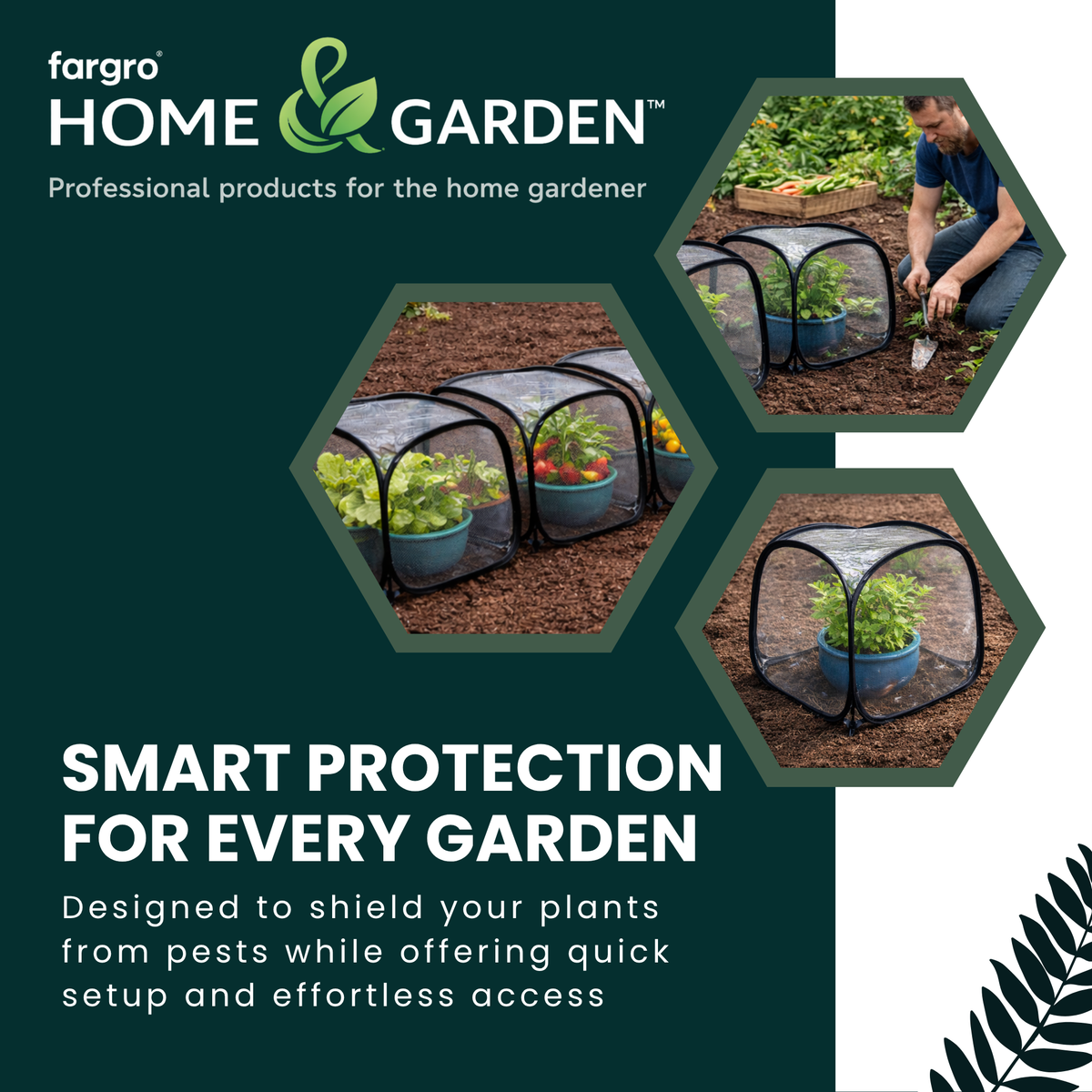 Pop-Up Mini Greenhouse Cloche, Plant Protection Cover, 50 x 50 x 50 cm
