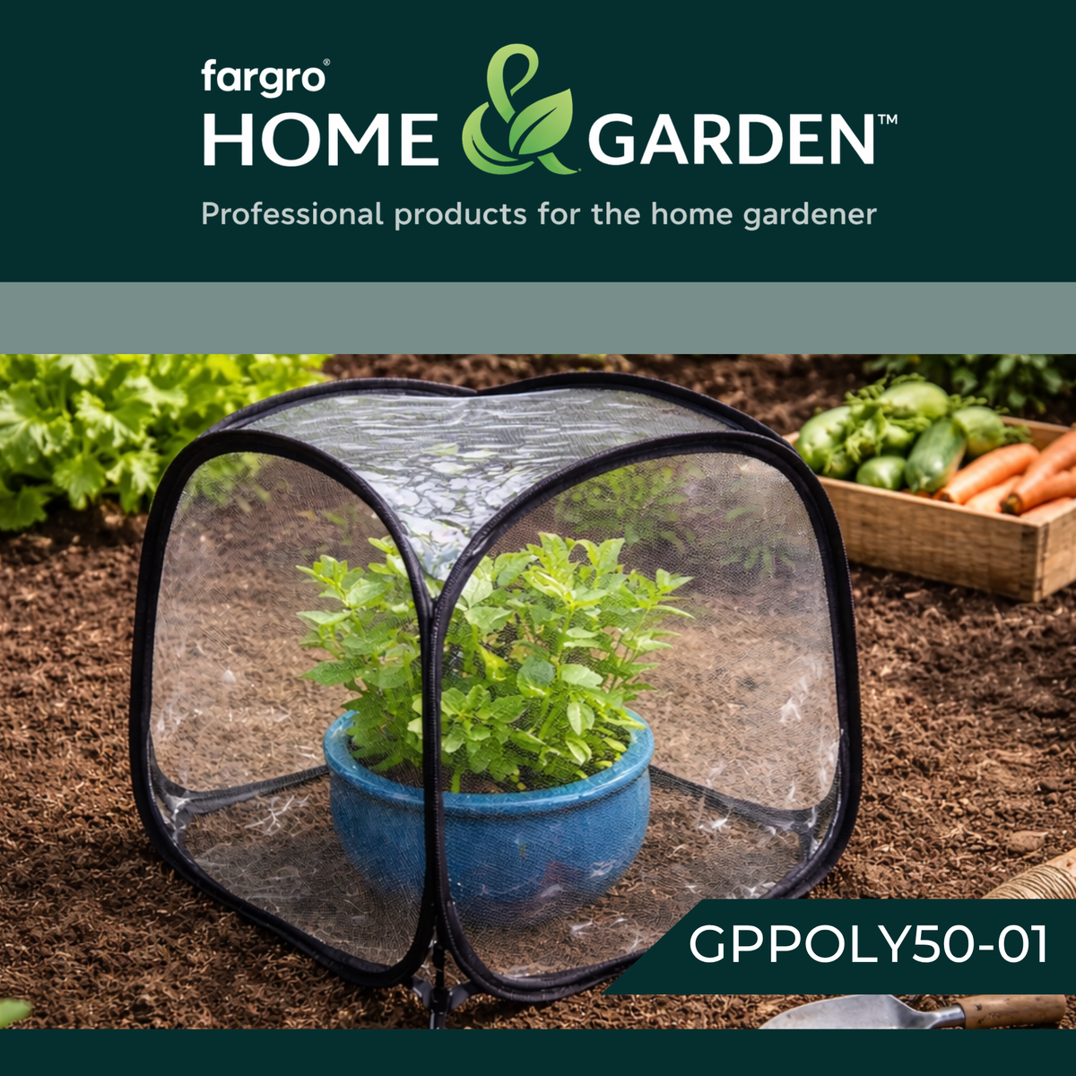 Pop-Up Mini Greenhouse Cloche, Plant Protection Cover, 50 x 50 x 50 cm