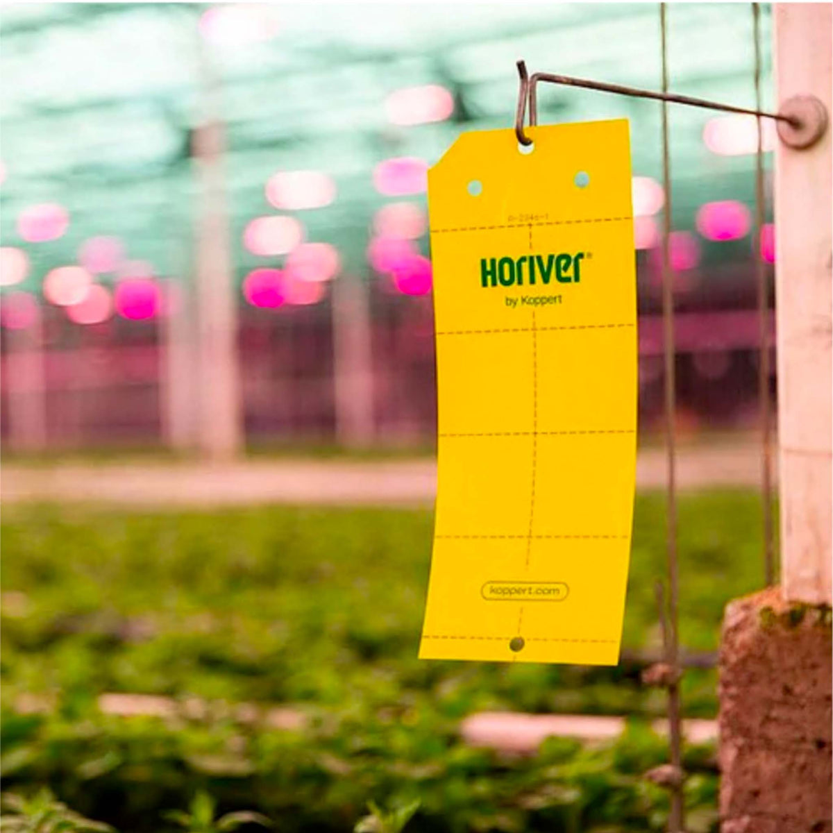 Horiver Wetstick Yellow 10x25cm | Thrips & Whitefly Sticky Monitoring Traps