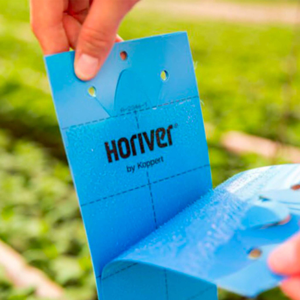 Horiver Wetstick Blue 40 x 25cm | Thrips Sticky Monitoring Trap