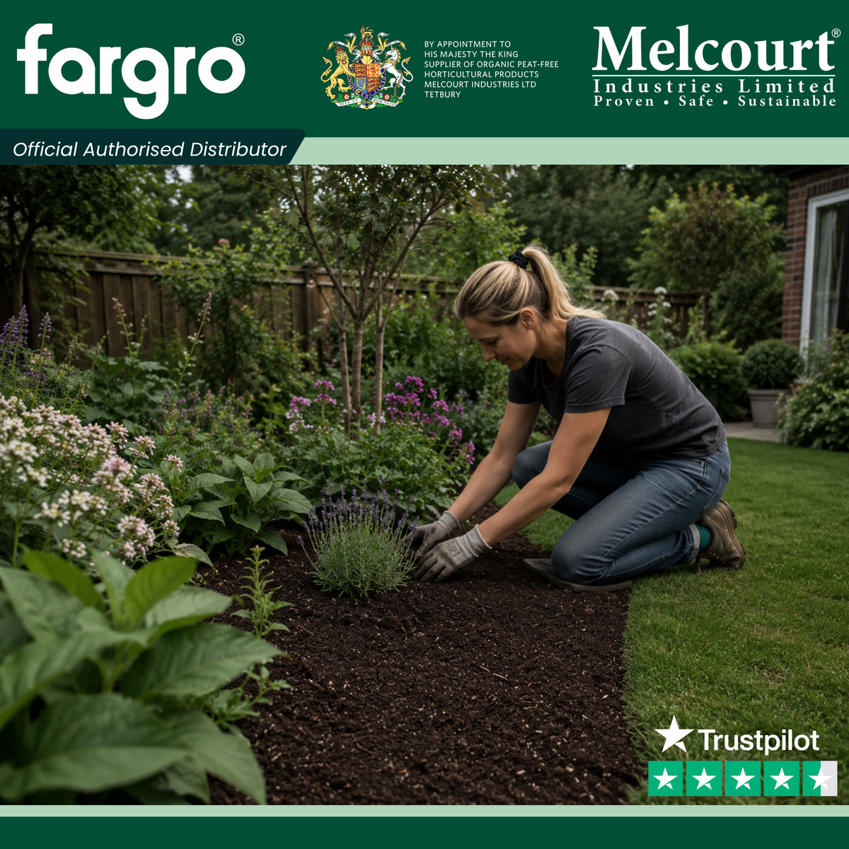 Melcourt SylvaMix® Professional Compost, Peat-Free Growing Media with Wetting Agent and Fertiliser, 50L