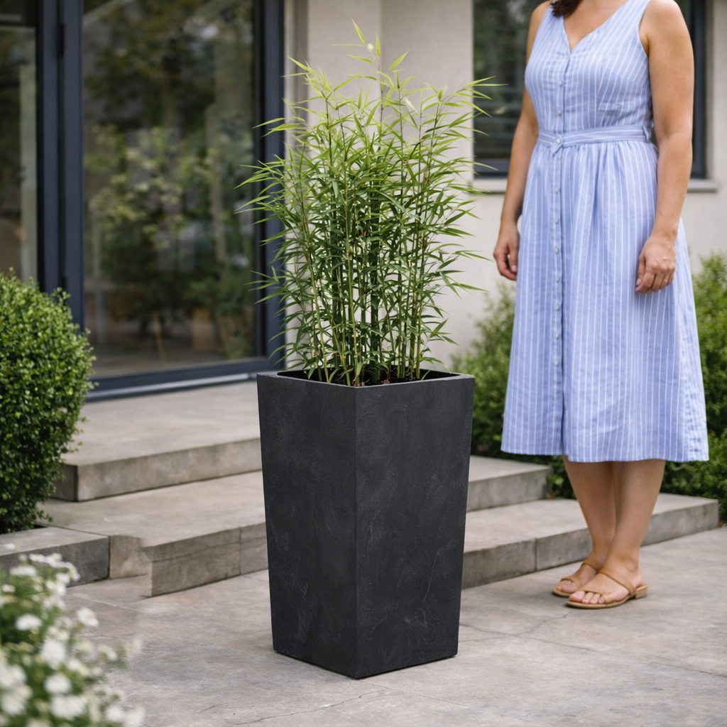 Pots & Planters