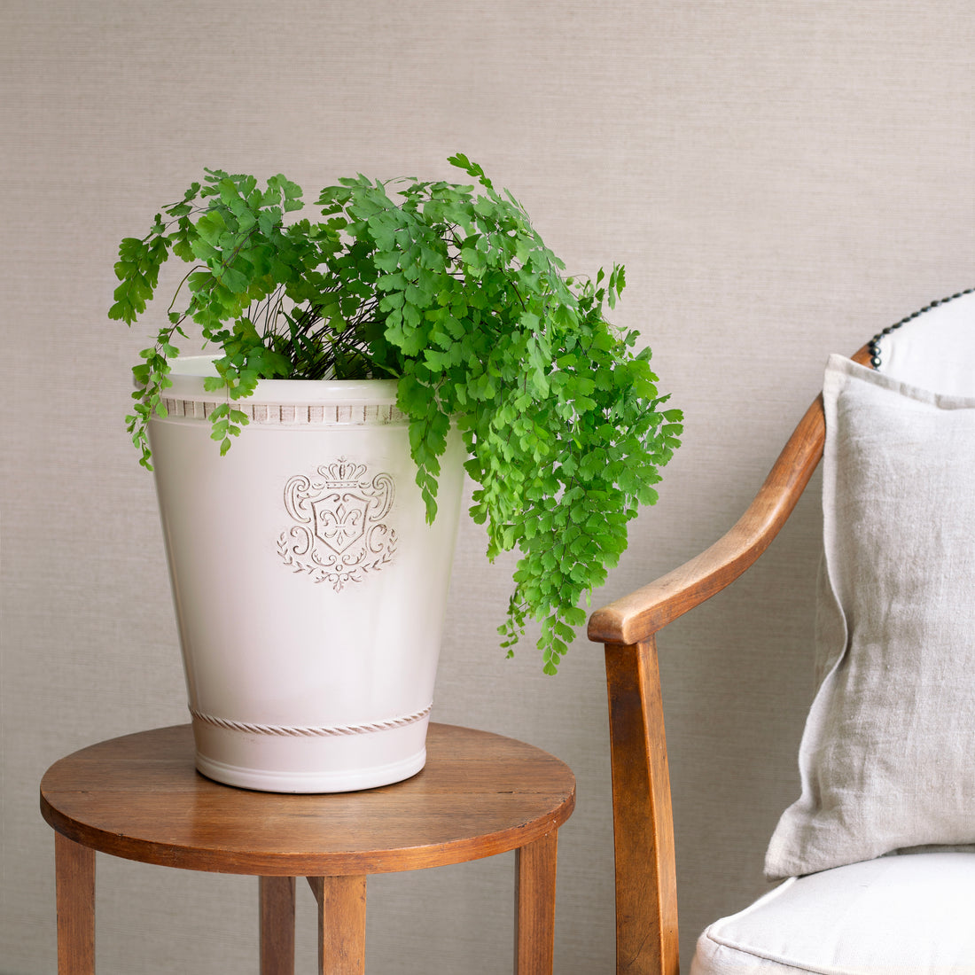 Potted plant on a small wooden table with a chair in the background