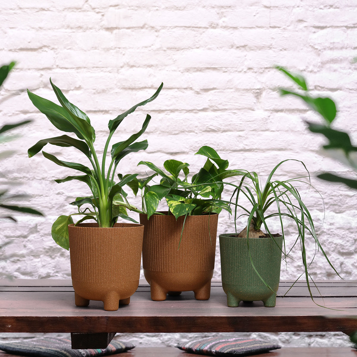 Aria ECO Wood Jumper Planter with Feet 18cm - Forest Green