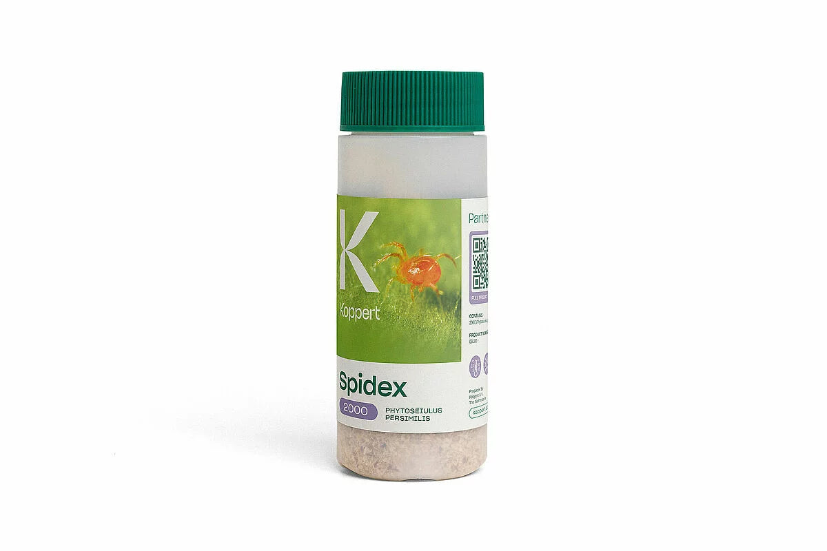 Spidex Vital 2,000 100 ml - Phytoseiulus persimilis | Spidermite Biological Control