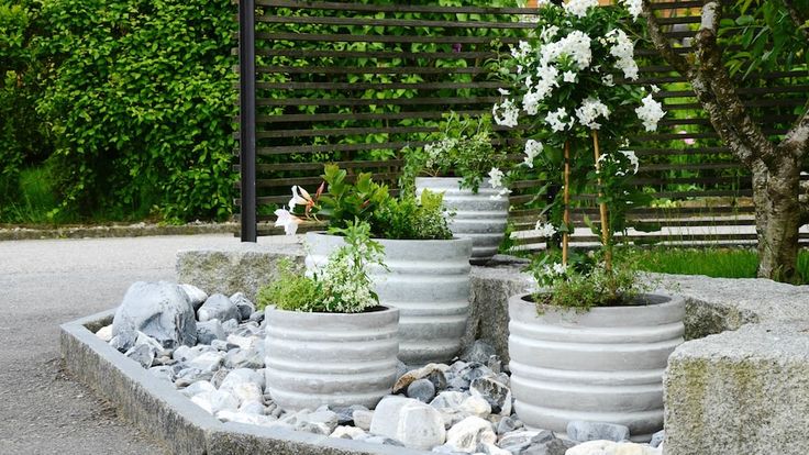 Pots & Planters