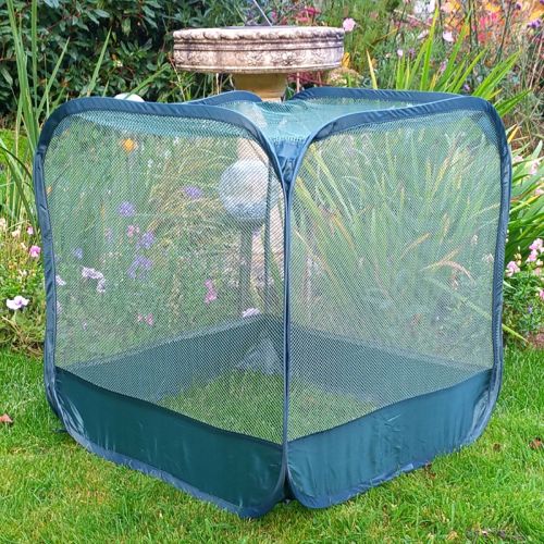 Pop-Up Mini Net Cage, 50 x 50 x 50 cm Plant Protection Cover