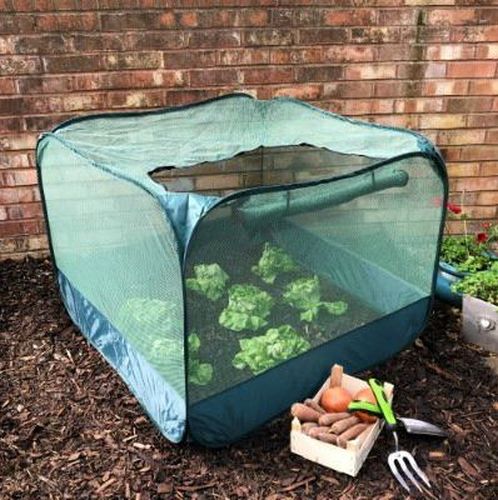 Pop-Up Net Cage, Low Plant Protection Cover, 100 x 100 x 75 cm