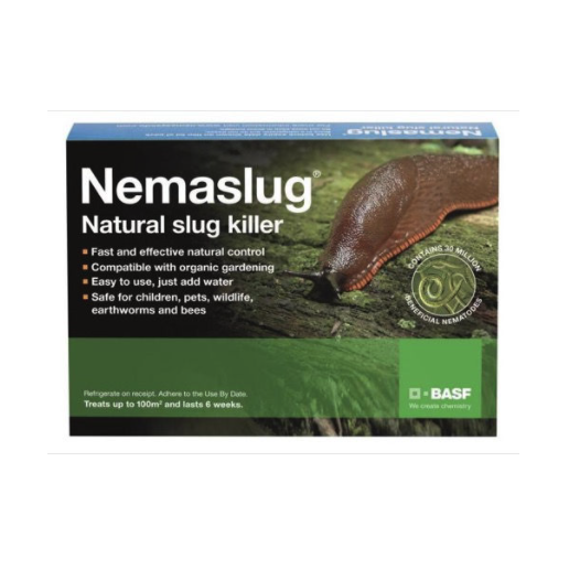 Nemaslug